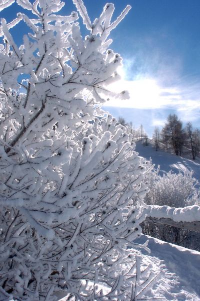 Racconti da un luogo incantato: Livigno e le sue bellezze