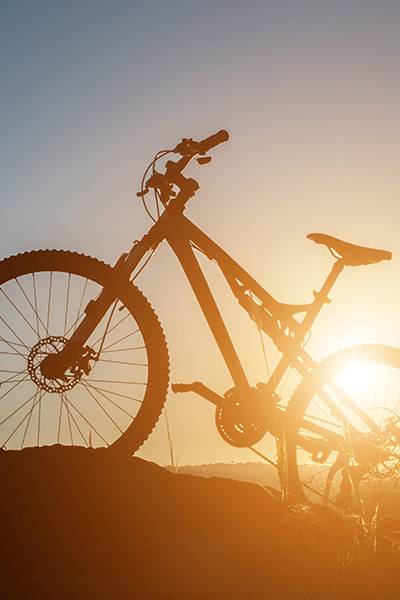 Mountainbike und Downhill